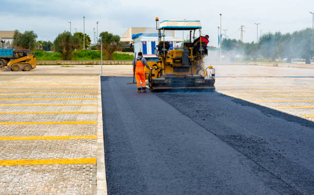 Best Driveway Pavers Near Me  in Cedar Bluff, AL
