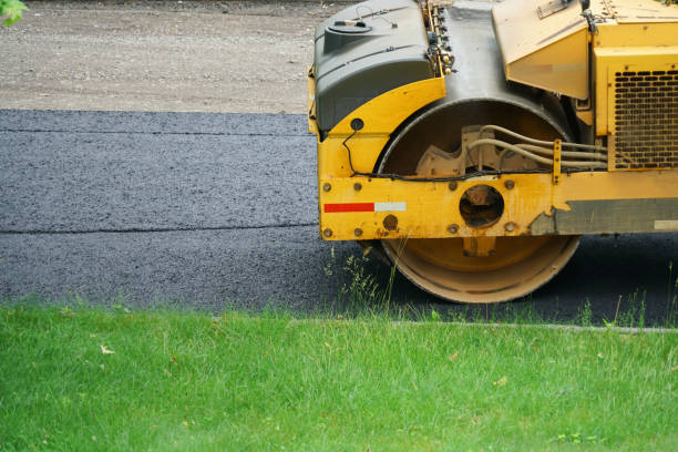 Best Professional Driveway Pavers  in Cedar Bluff, AL